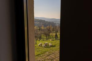 a group of sheep laying in a field looking out a window at Montissimo Chalet in Bran