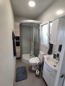 Mobile home Sara في بريفلاكا: حمام مع دش ومرحاض ومغسلة