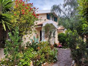a house surrounded by plants and flowers at La Pirata Capitana in Costa degli Angeli