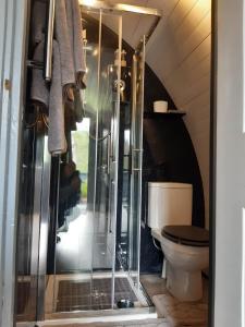 a glass shower in a bathroom with a toilet at Nevis Pod, West Highland Way Holidays in Kinlochleven