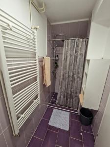a bathroom with a shower with a shower curtain at Guesthouse Ella in Slunj