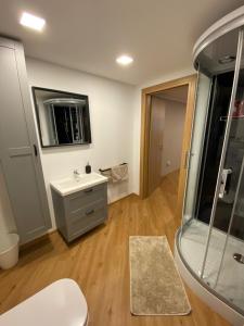 Vannituba majutusasutuses Apartma LIMA +20 fotot