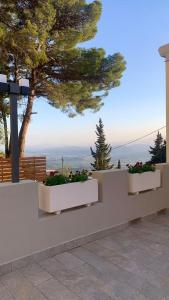 two white planters on a wall with flowers in them at Tarsis Guest House in Baunei