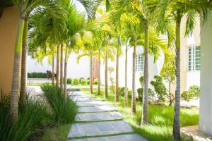 a sidewalk lined with palm trees next to a building at 3 BR apartment ciudad santiago de los caballeros in Santiago de los Caballeros