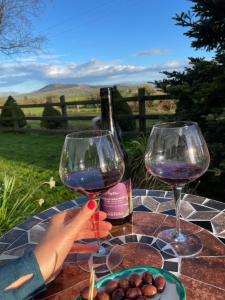 a person holding up two glasses of wine on a table at Mai's Cottage Suite - Charming Holiday Rental in Kilmallock