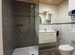 a bathroom with a shower and a toilet and a sink at Glewitz Am Alten Fährhaus in Garz-Rügen