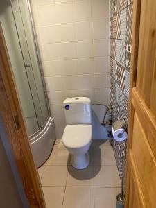 uma casa de banho com um WC e um chuveiro em Aņutas flat em Saldus