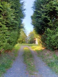 un camino de tierra entre dos árboles en un campo en Gite avec SPA privé, en Drulingen