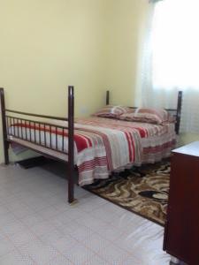 een slaapkamer met een bed en een tapijt bij City View Accomodations Apt 2 in Roseau