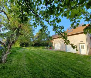 ein Haus mit einem grünen Garten mit einem Baum in der Unterkunft Gite avec SPA privé in Drulingen