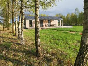 a house in the woods with trees at Przystanek Mazury.Makosieje in Makosieje
