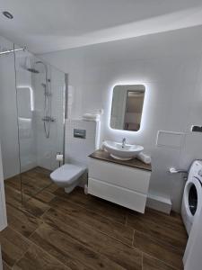 a bathroom with a sink and a toilet and a shower at Apartament w sercu Oliwy in Gdańsk