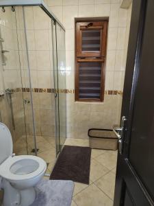 a bathroom with a toilet and a glass shower at PANTELI APART HOUSE in Aheloy