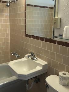 a bathroom with a sink and a toilet and a mirror at Four Winds Motel in Depoe Bay