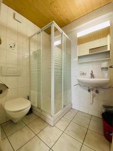 a bathroom with a shower and a toilet and a sink at Lake View Apartment - 12 in Niederried