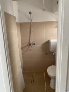 un piccolo bagno con servizi igienici e doccia di ROOR Top Nest 1 a Gheorgheni