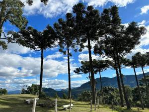 a group of trees in a field with a blue sky at Hotel e Pousada Montanha Real in Urubici