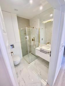 uma casa de banho com uma cabina de duche em vidro e um WC. em Apartamenty Katowicka 58 - self check in 24h - by Kanclerz Investment em Chorzów