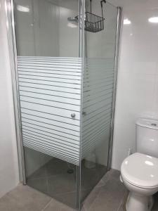 a shower stall in a bathroom with a toilet at LTD Hadas Garden apartment in Tiberias