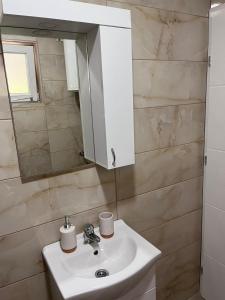 a bathroom with a sink and a mirror at Apartman Kasic in Konjic