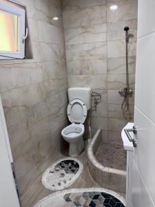 a small bathroom with a toilet and a shower at Apartman Kasic in Konjic