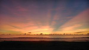 Ảnh trong thư viện ảnh của Woodenfish ở Thành Công +18 ảnh