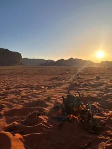 un feu dans le désert avec le coucher du soleil en arrière-plan dans l'établissement Wadi Rum Oryx Hostel & Tours, à Wadi Rum