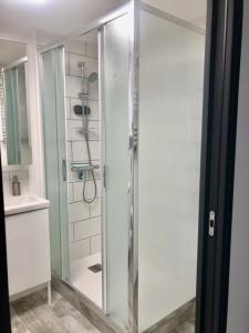 a shower with a glass door in a bathroom at Naturiste Heliovillage Villa de Standing in Cap d'Agde