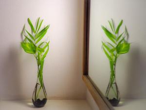 dos jarrones con plantas en ellos sentados junto a un espejo en Casa Cascada - Adults Only, en Puerto Escondido