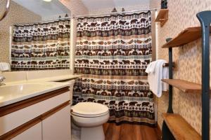 a bathroom with a toilet and a shower curtain at Seven Springs Resort Properties by Vail Resorts in Champion +286 photos