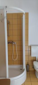 a bathroom with a shower and a toilet at Bordon wines, estate with accommodation in Dekani