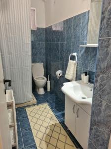 ポドゴリツァにあるSerenity City Centreのバスルーム(トイレ、洗面台付)