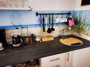 a kitchen counter with a counter top with a sink at Pension Zur Sülte in Sülte +6 photos