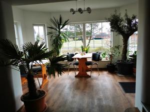 a dining room with a table and potted plants at Pension Zur Sülte in Sülte