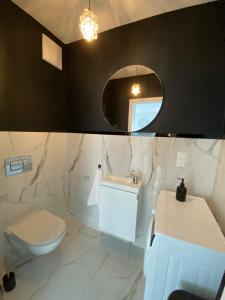 La salle de bains est pourvue d'un lavabo, de toilettes et d'un miroir. dans l'établissement Seaside Apartment, à Gdańsk