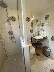 W łazience znajduje się prysznic, toaleta i umywalka. w obiekcie Cabaña río Calle Calle w mieście Valdivia