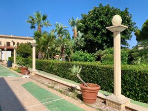 a potted plant in a pot next to a pole at Blue Coral in San Vito lo Capo