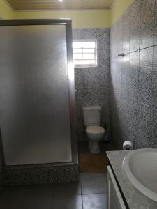 a bathroom with a shower and a toilet and a sink at Pryme Paradise in Carnbee Village