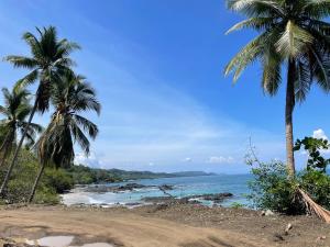 una playa con palmeras y el océano en Sweet Home en Cabuya
