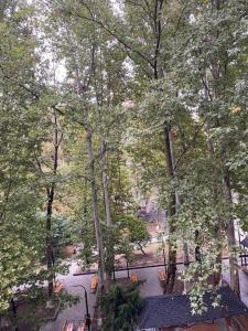 Nice apartment في Pʼonichala: إطلالة علوية على حديقة بها أشجار