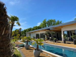 a house with a swimming pool and palm trees at VILLA EDEN in Perchède