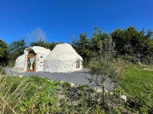 a large iguana house with a window in a field at Aux sabots de vent in Chuffilly-Roche