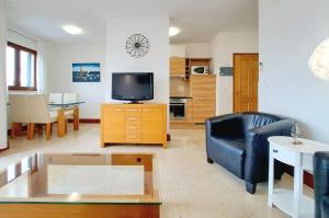 salon z kanapą i telewizorem w obiekcie Apartment Carica w Slatine