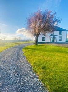 a tree in the grass next to a house at Farmhouse in Virginia County Cavan in Cavan