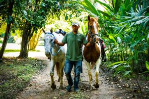 a man walking two horses down a dirt path at Tanager RainForest Lodge in Big Falls