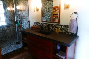 a bathroom with a sink and a shower at RiverHill Hideaway in Monkey Fall