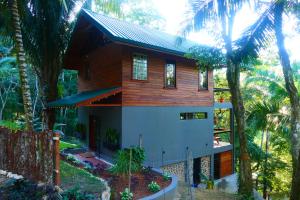 a house in the middle of a forest with palm trees at RiverHill Hideaway in Monkey Fall
