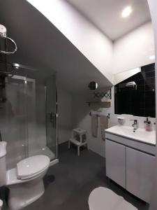 a bathroom with a toilet and a shower and a sink at Casa Pirosa in Aveiro