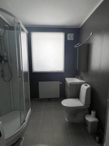 a bathroom with a toilet and a shower at Storgata 5 in Berlevåg