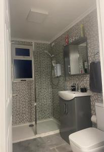 a bathroom with a toilet and a sink at Studio Flat in Largs